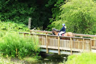 Morgan on the bridge obstacle at SNEC