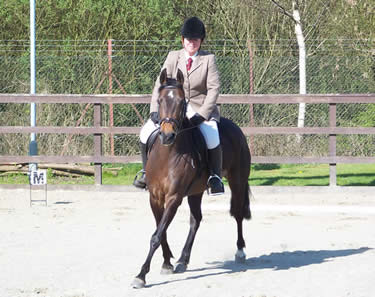 Fizz doing dressage at Sandyflat, Glasgow